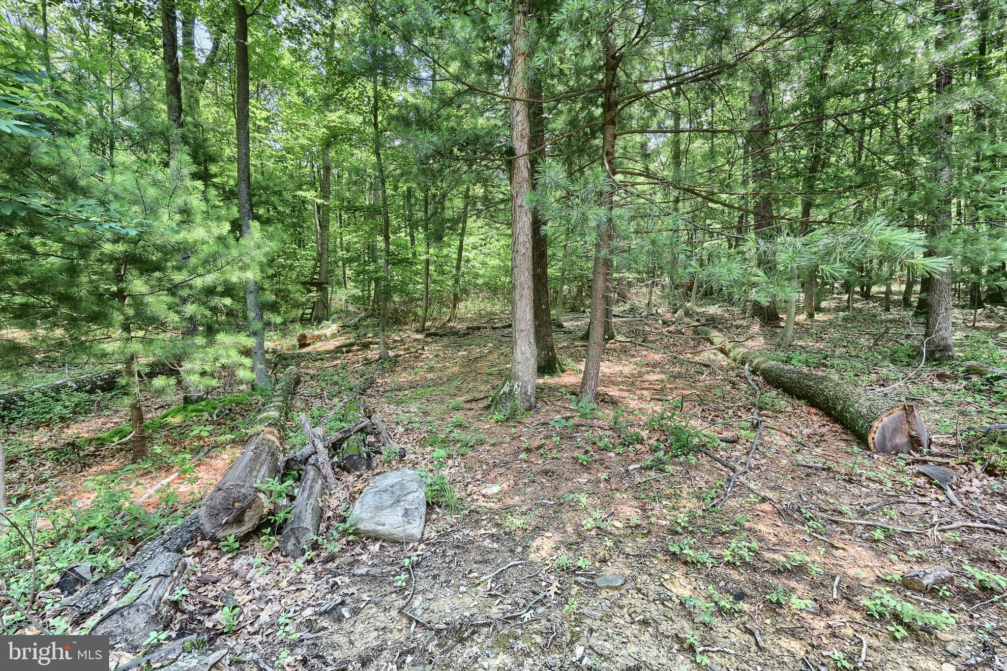 85 Pine Ridge Road Aspers, PA 17304 - Photo 34 of 44 Gallery Image 34