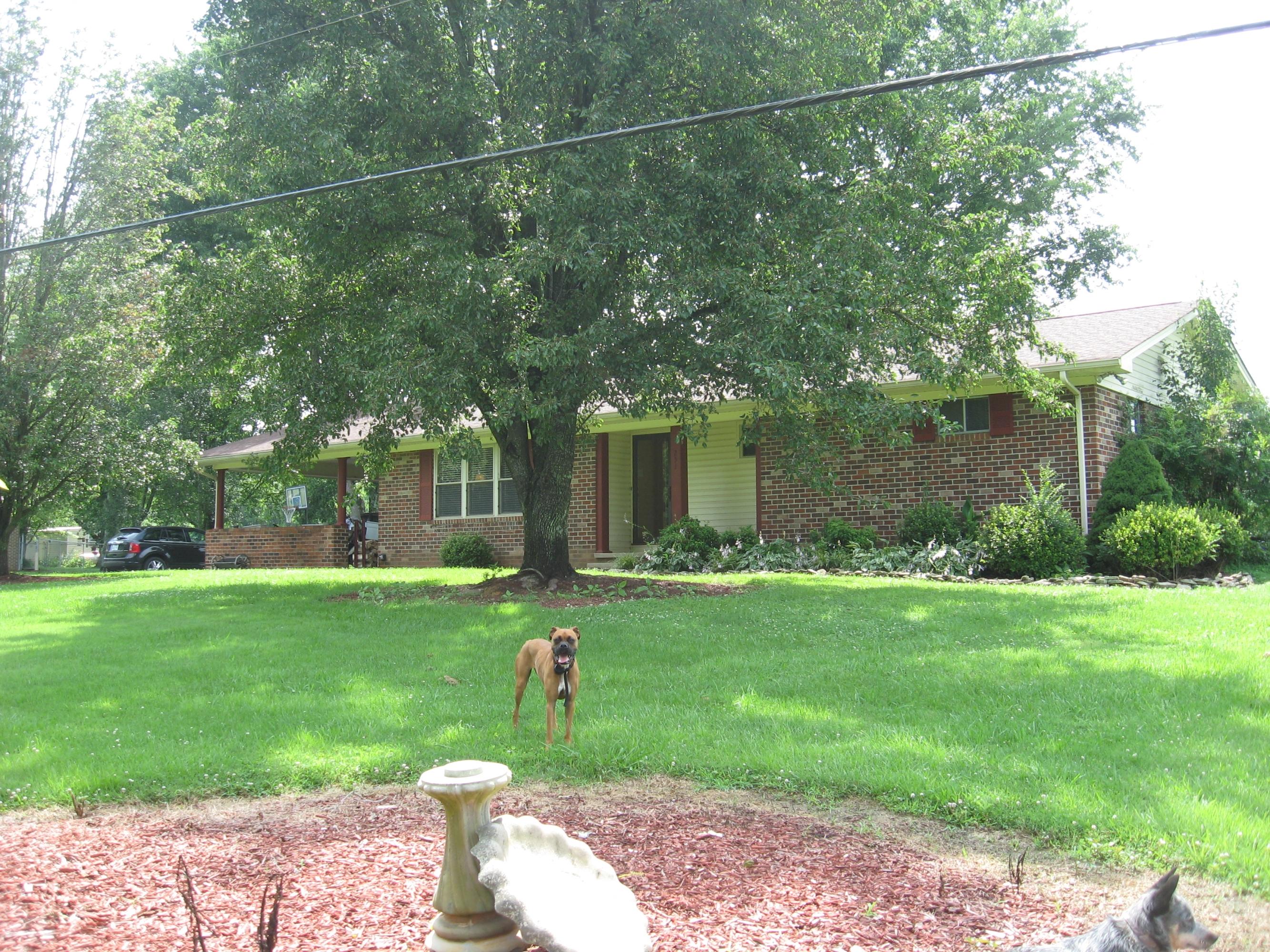 251 Rymer Road Cleveland, TN 37323 - Photo 1 of 36 IMG_3988