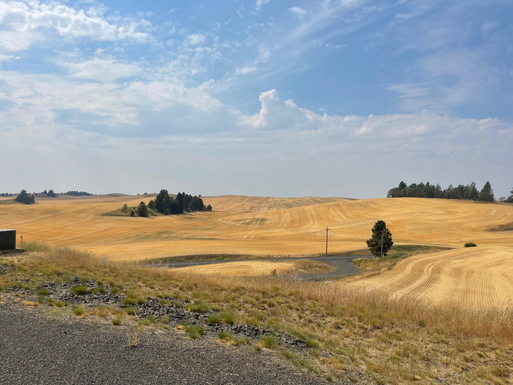 15211 South Betz Road Cheney, WA 99004 - Photo 13 of 34