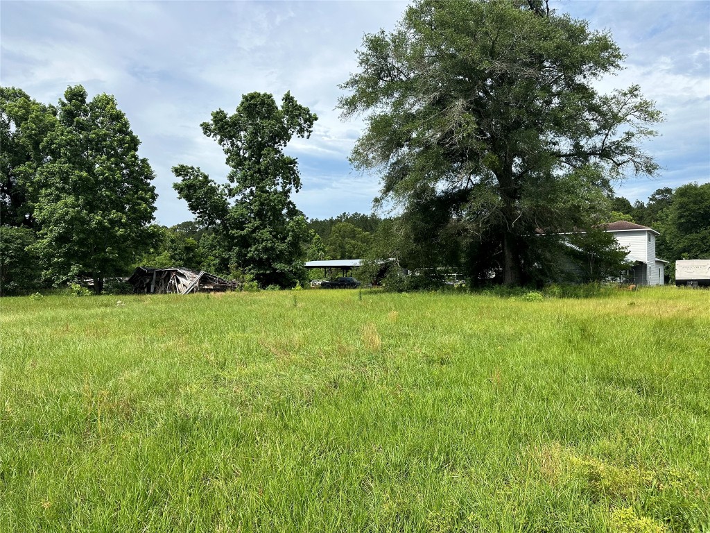 7700 Farm To Market 1010 Road Cleveland, TX 77327 - Photo 8 of 9 a view of yard with green space