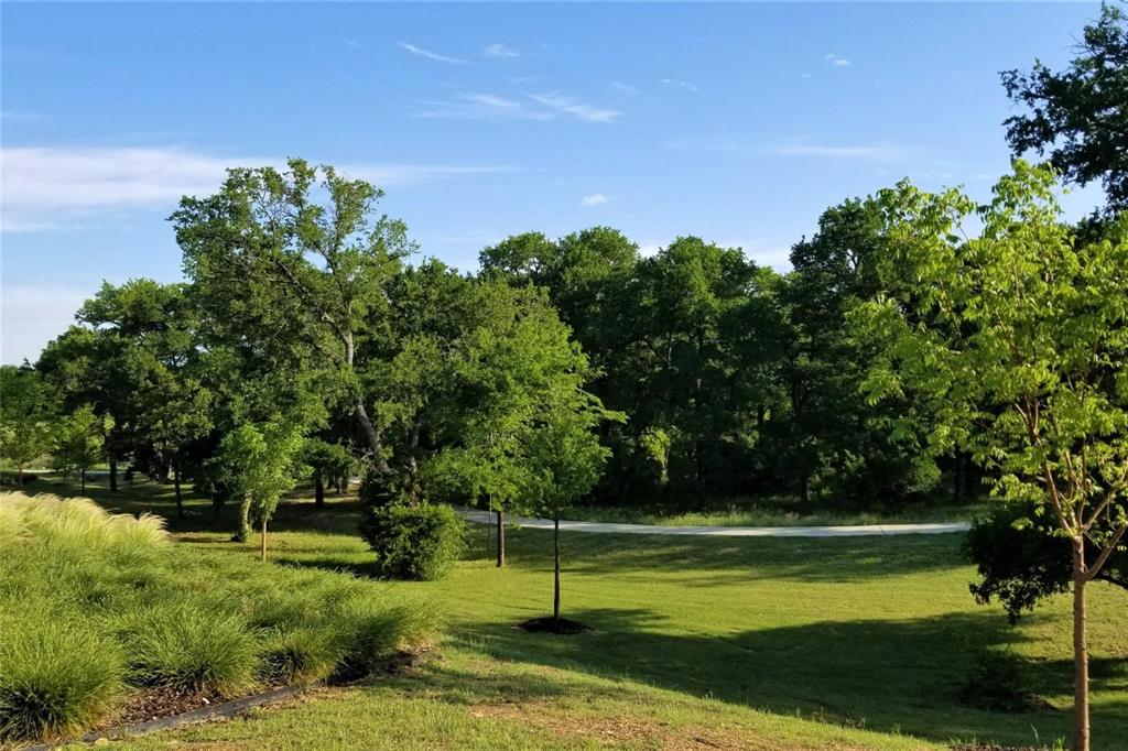 6201 Cupleaf Road Flower Mound, TX 76226 - Photo 32 of 40 a view of a park with large trees