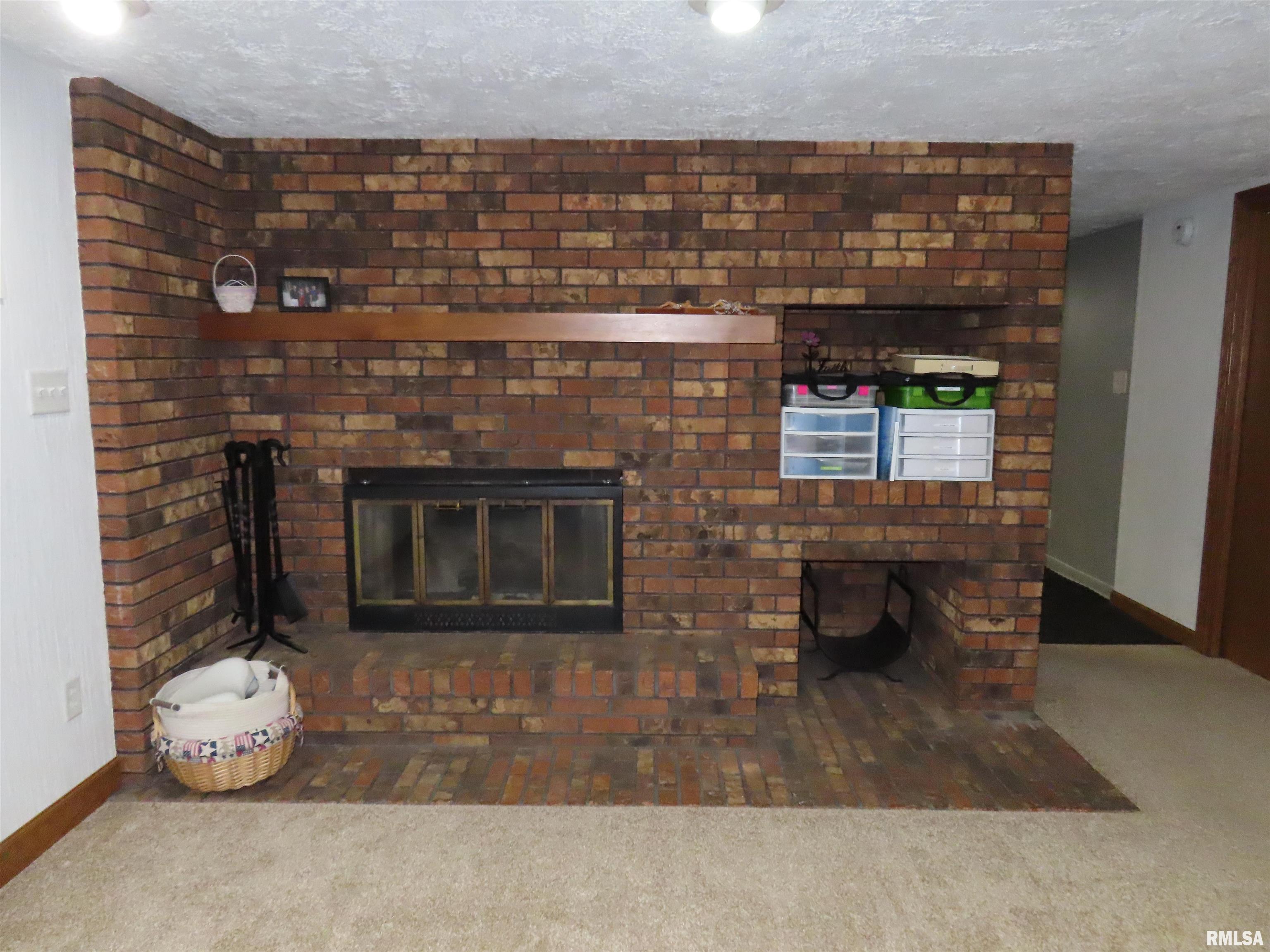 205 South Park Street Alpha, IL 61413 - Photo 44 of 59