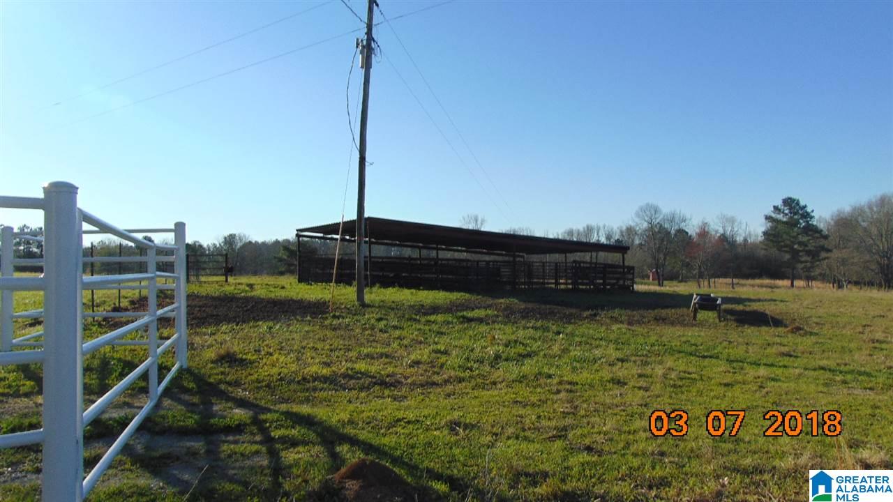 319 County Road 729 Jemison, AL 35085 - Photo 20 of 21