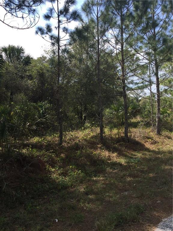 6-7 8 Hungary/hillman Rd Port North Port, FL 34288 - Photo 1 of 1