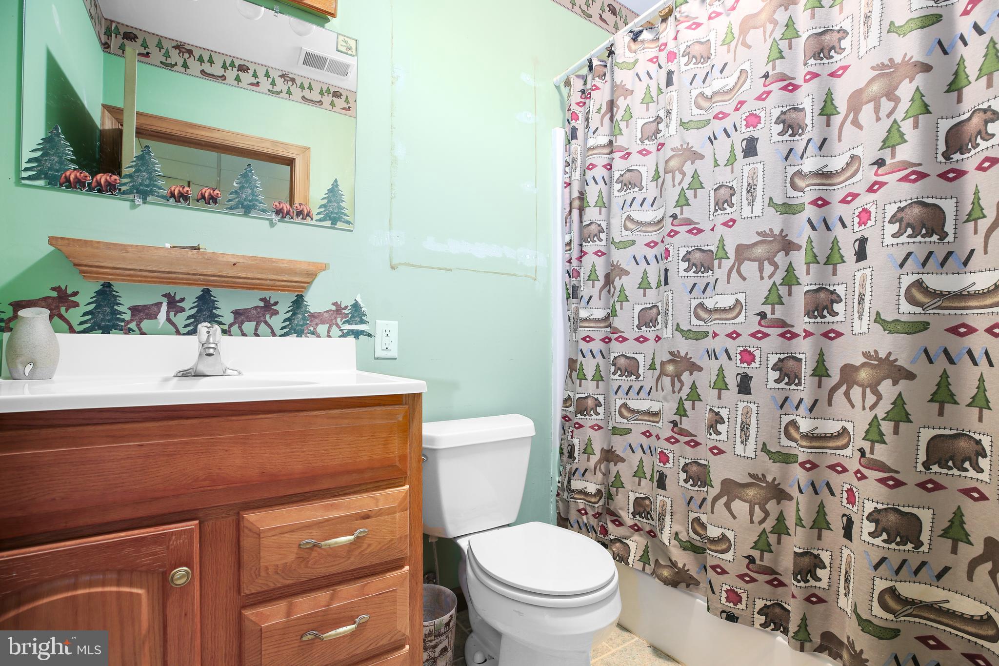 147 Richards Ferry Road Fredericksburg, VA 22406 - Photo 33 of 48 3rd bath