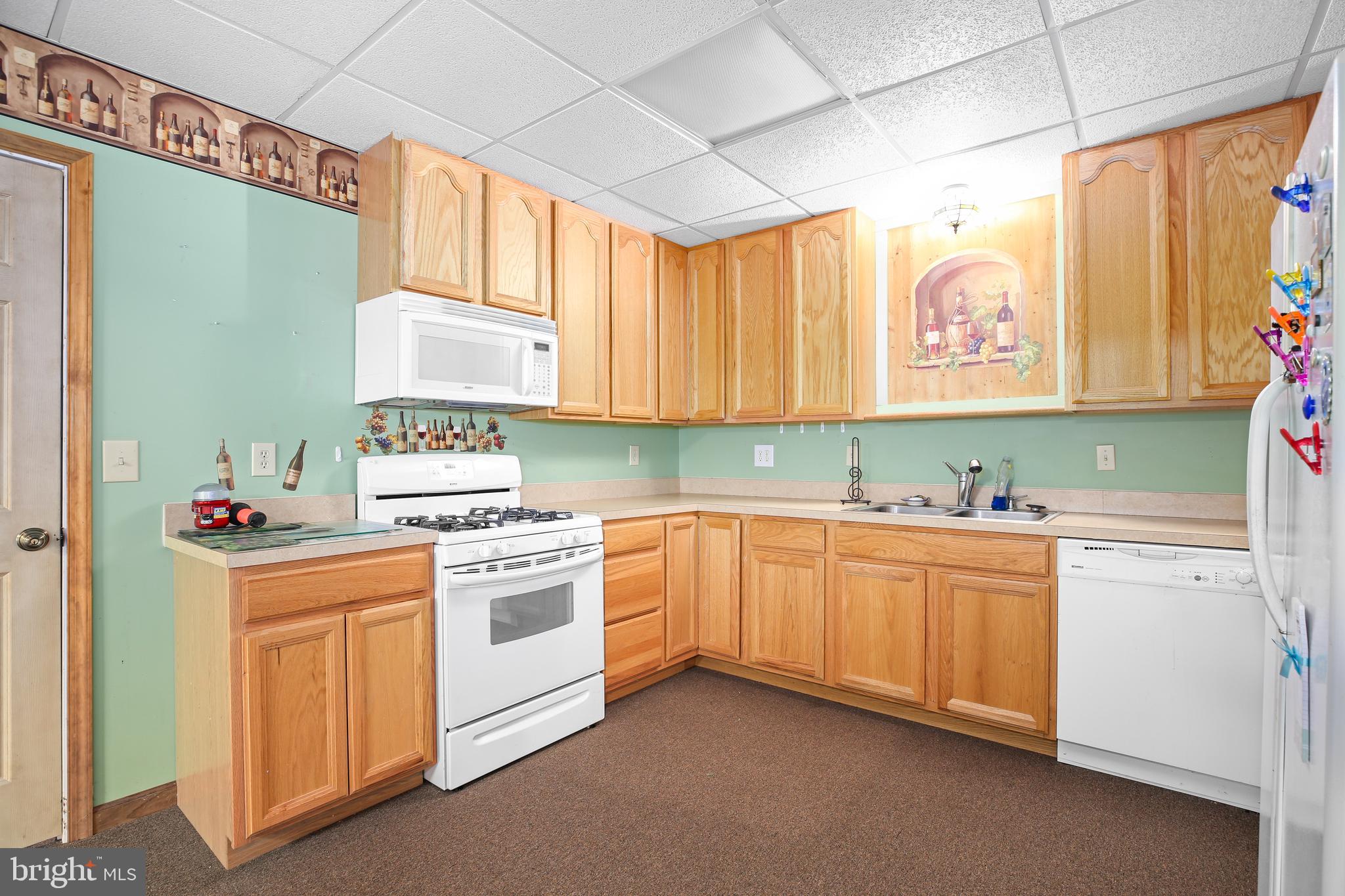 147 Richards Ferry Road Fredericksburg, VA 22406 - Photo 37 of 48 2nd Kitchen in finished lower level