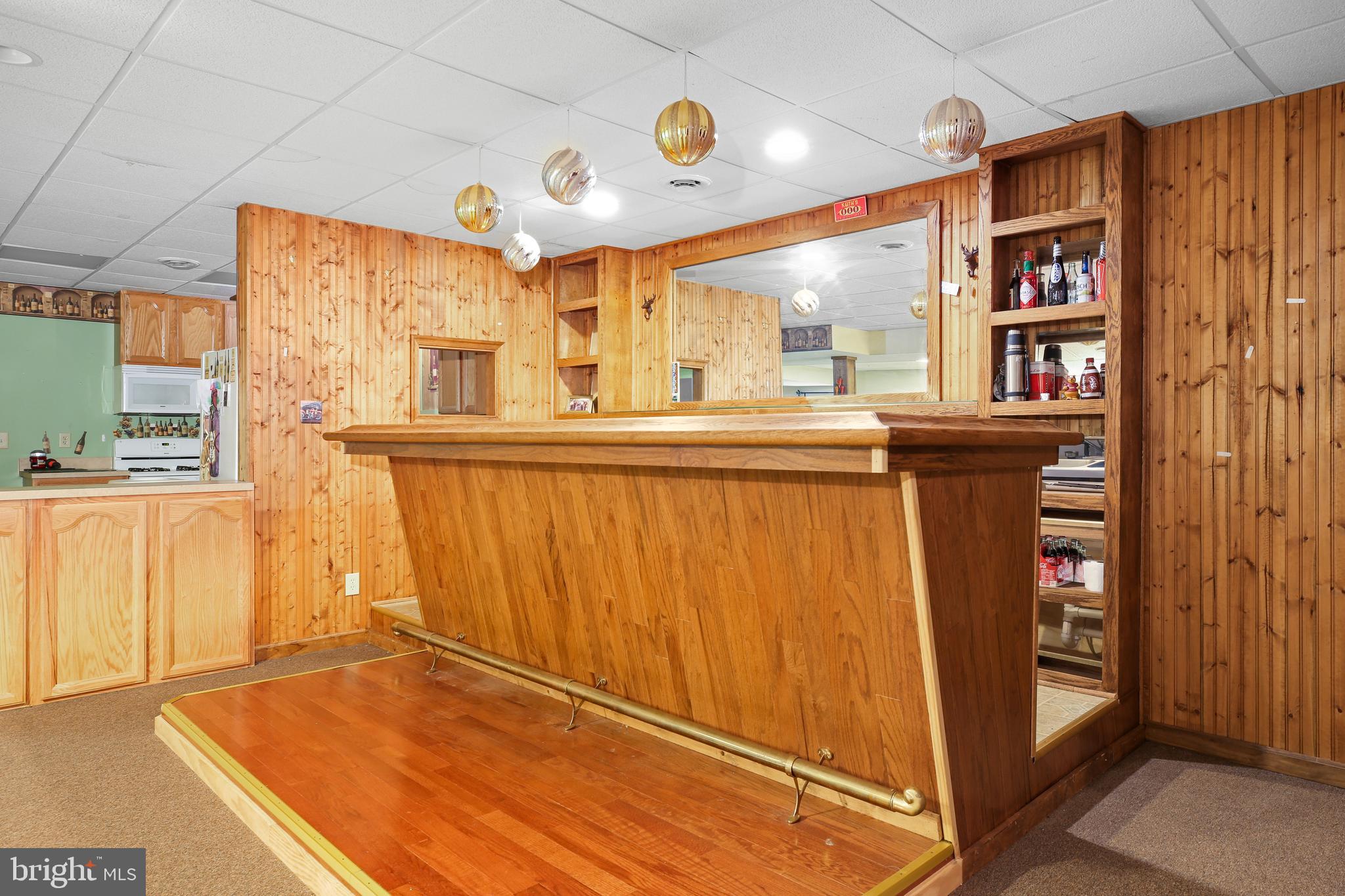147 Richards Ferry Road Fredericksburg, VA 22406 - Photo 42 of 48 Recarea in full finished basemennt