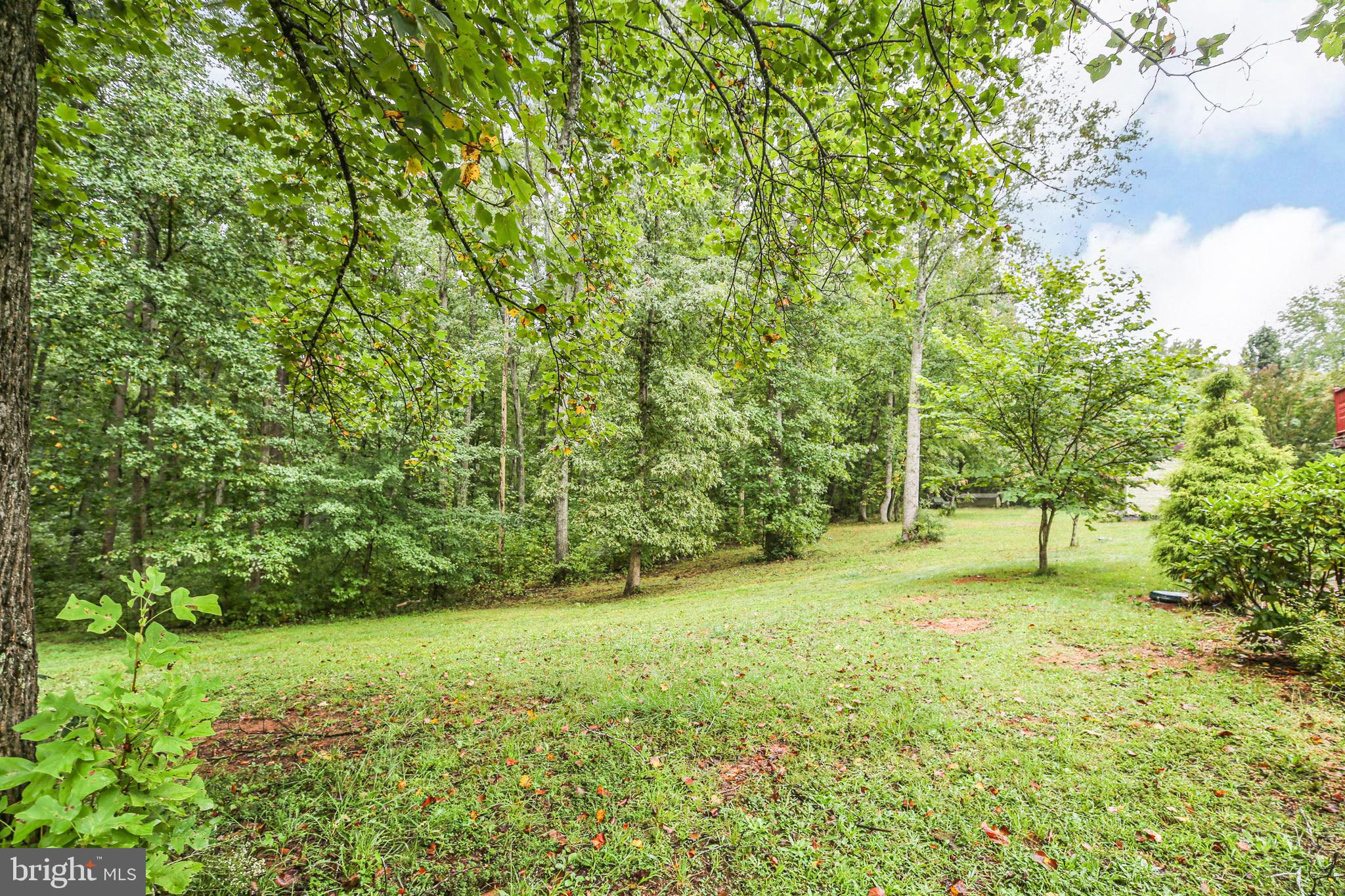 147 Richards Ferry Road Fredericksburg, VA 22406 - Photo 8 of 48 Beautiful level yard