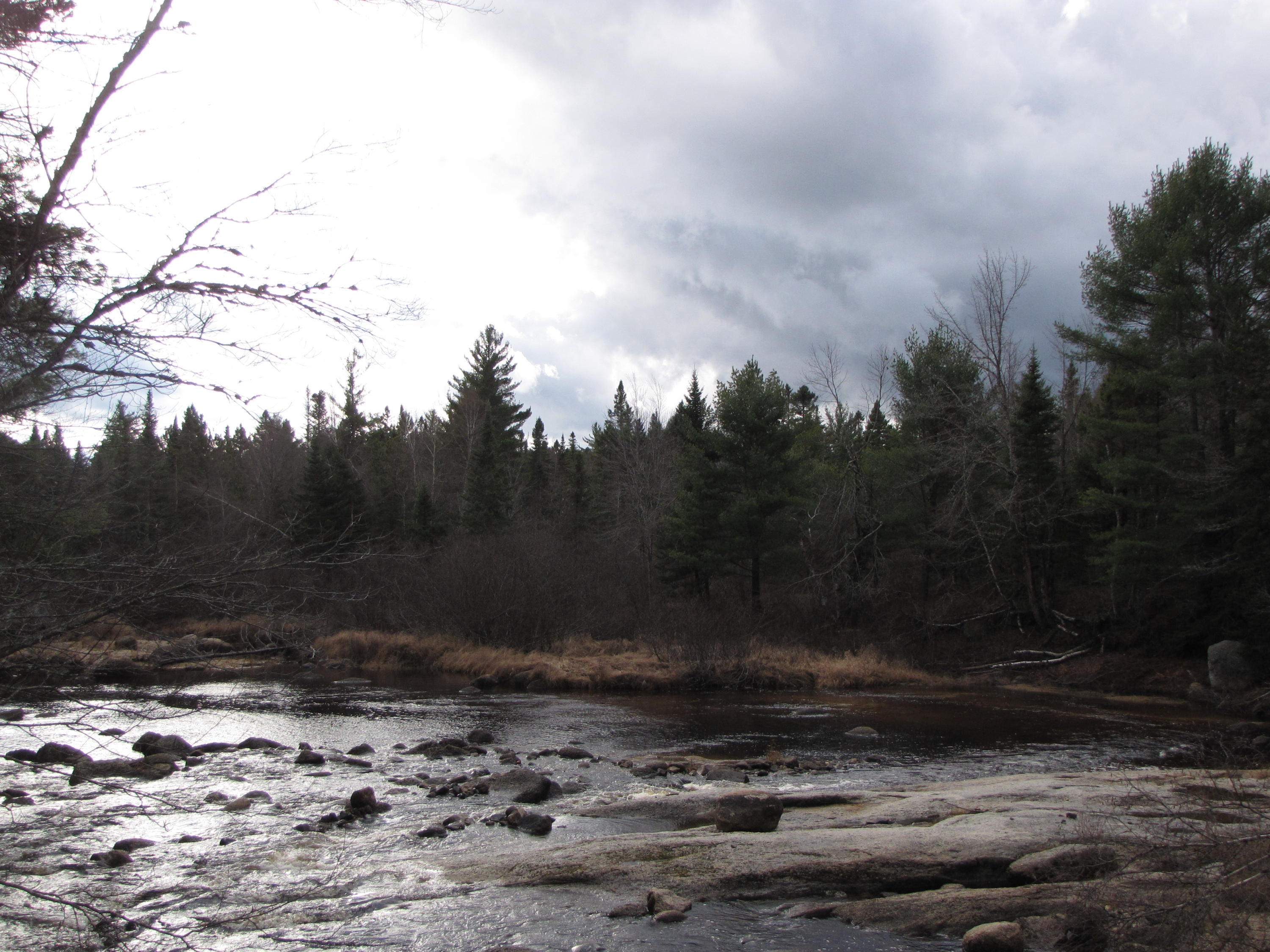 X X Off Ccc Road Machias, ME 04654 - Photo 25 of 57 IMG_1625