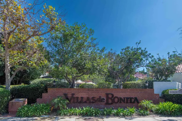 a plant in a garden of a house