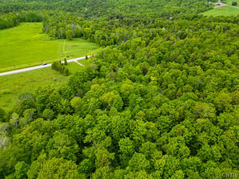 1180 Hawthorne Road Schuyler, NY 13416 - Photo 18 of 23