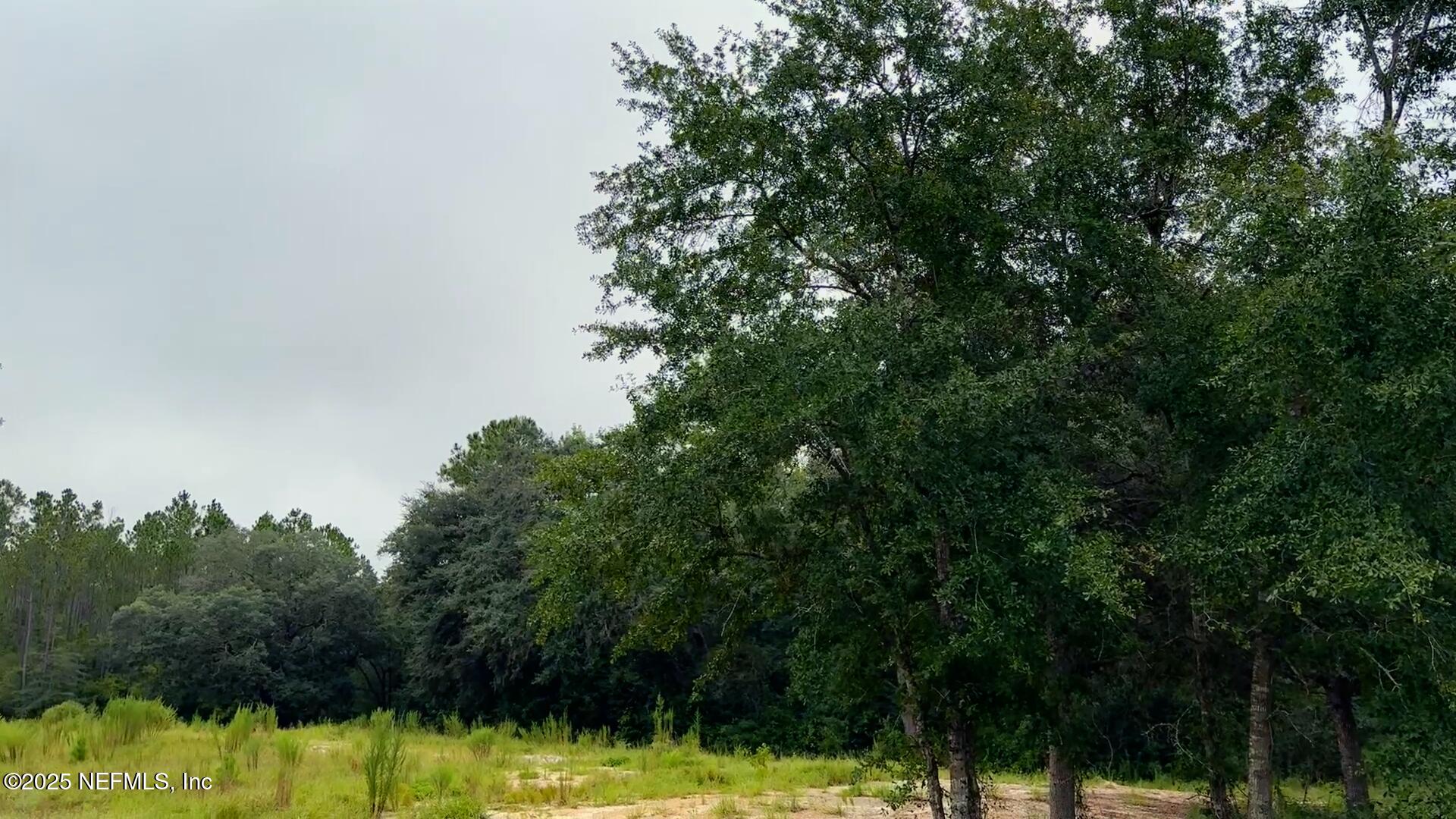 15460 Bullock Bluff Road Bryceville, FL 32009 - Photo 12 of 20 4
