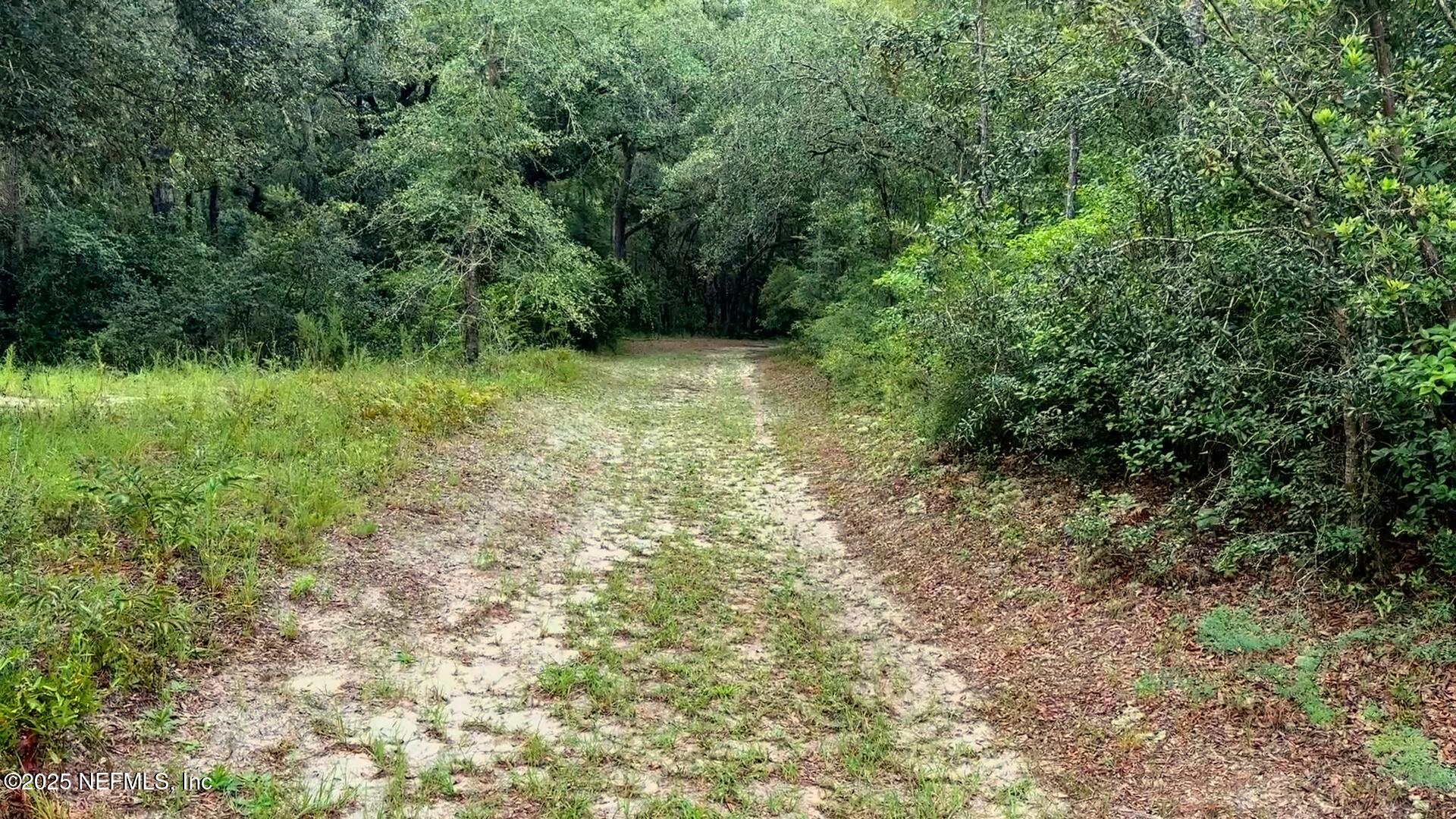 15460 Bullock Bluff Road Bryceville, FL 32009 - Photo 14 of 20 5