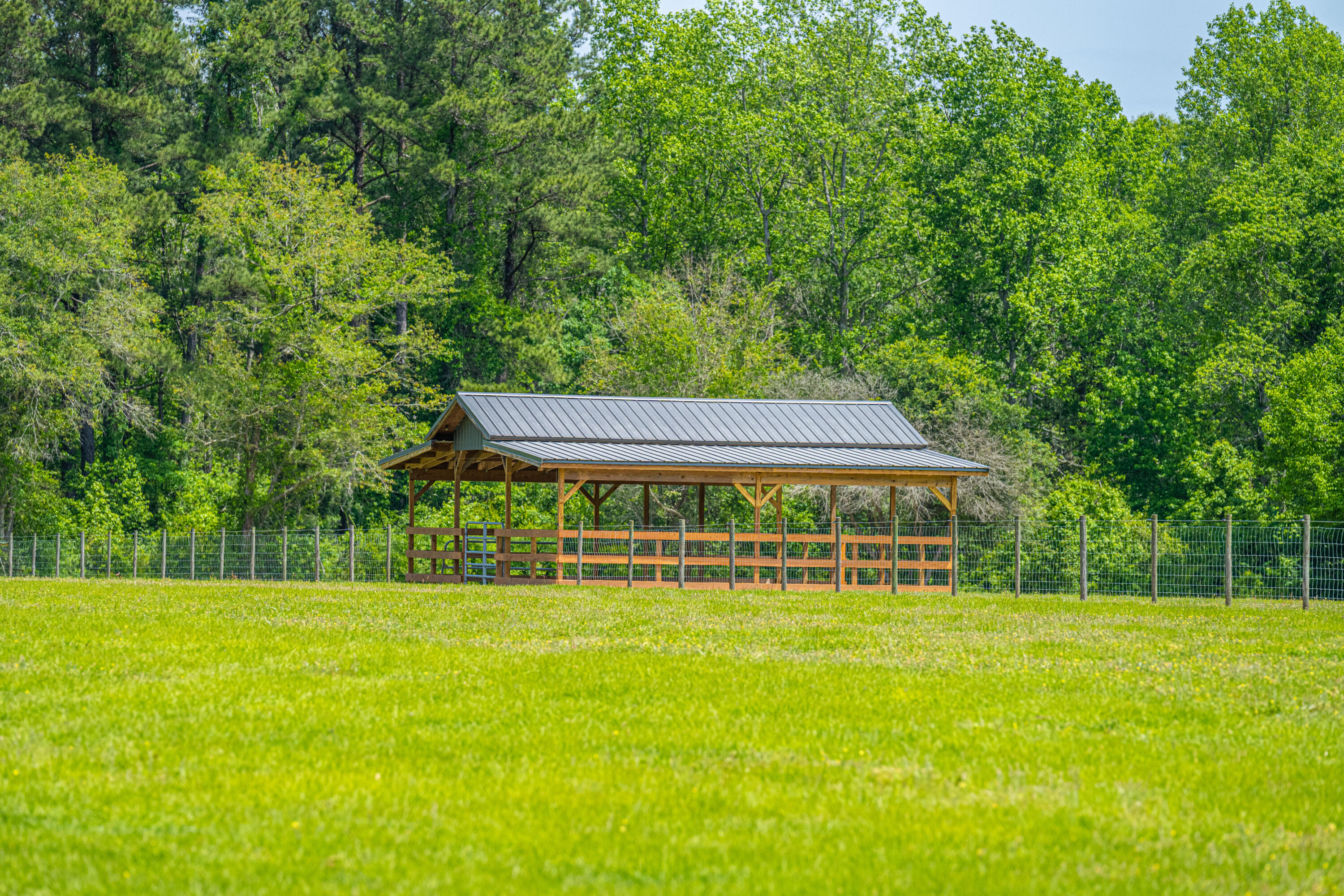 12145 Low Country Highway Ruffin, SC 29475 - Photo 70 of 73 Run-in for horses