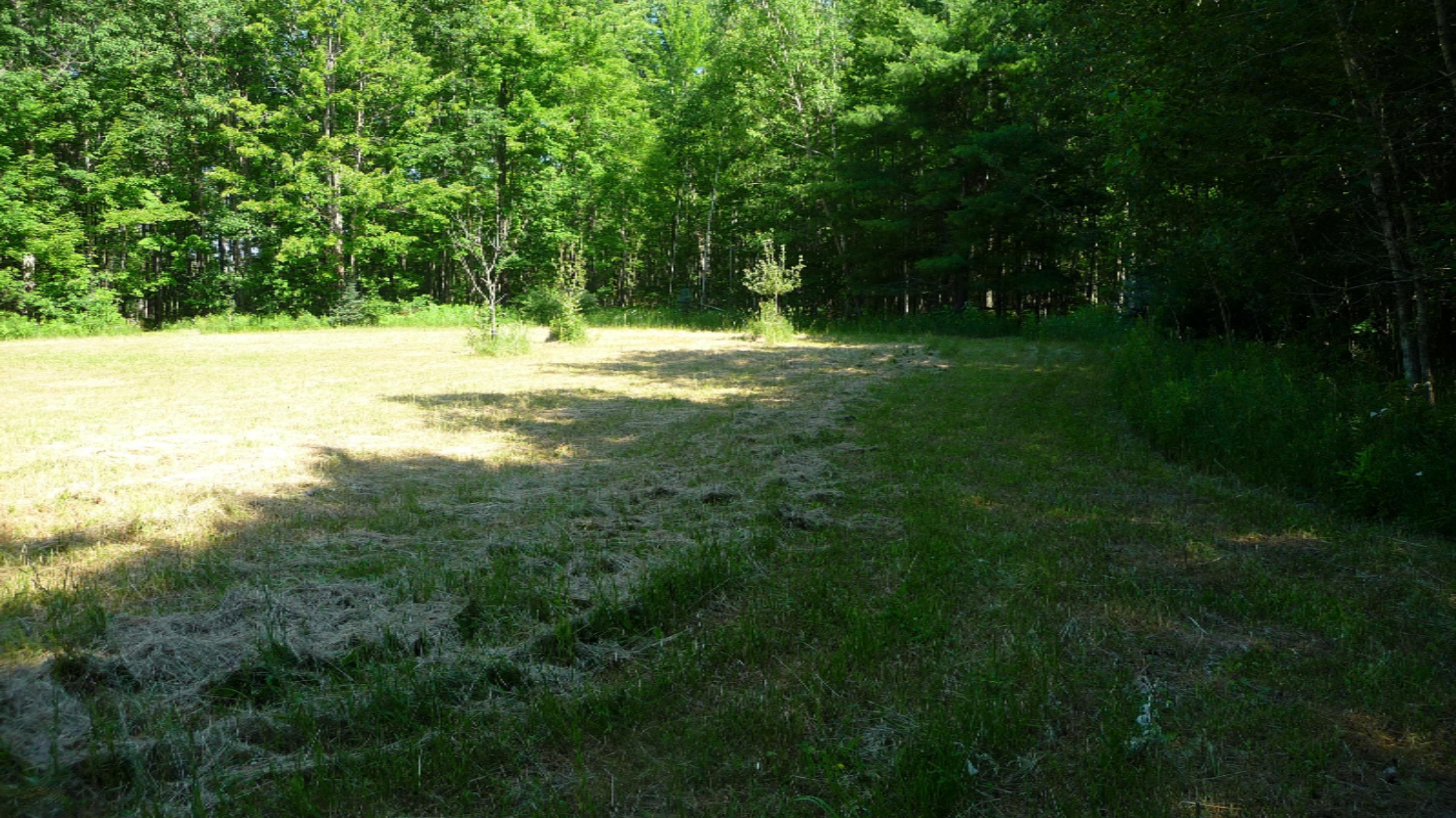 State Road Harrison, MI 48625 - Photo 3 of 34 P1030248