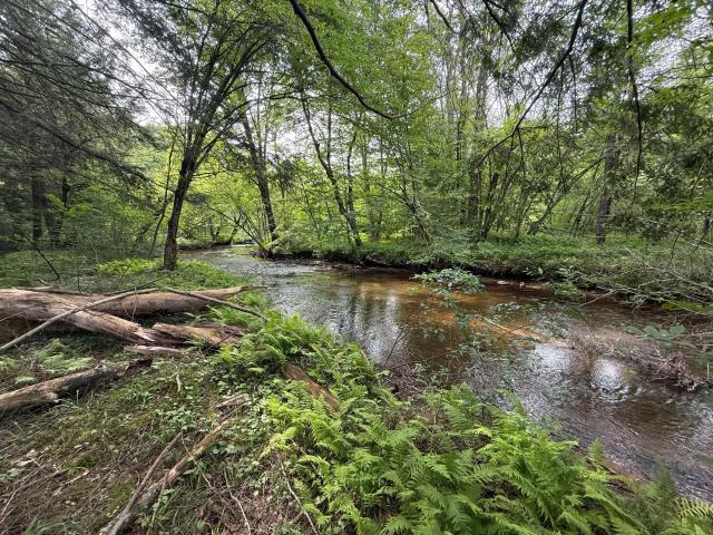 184 Fork Run Road Sheffield, PA 16347 - Photo 17 of 21 Gallery Image 17