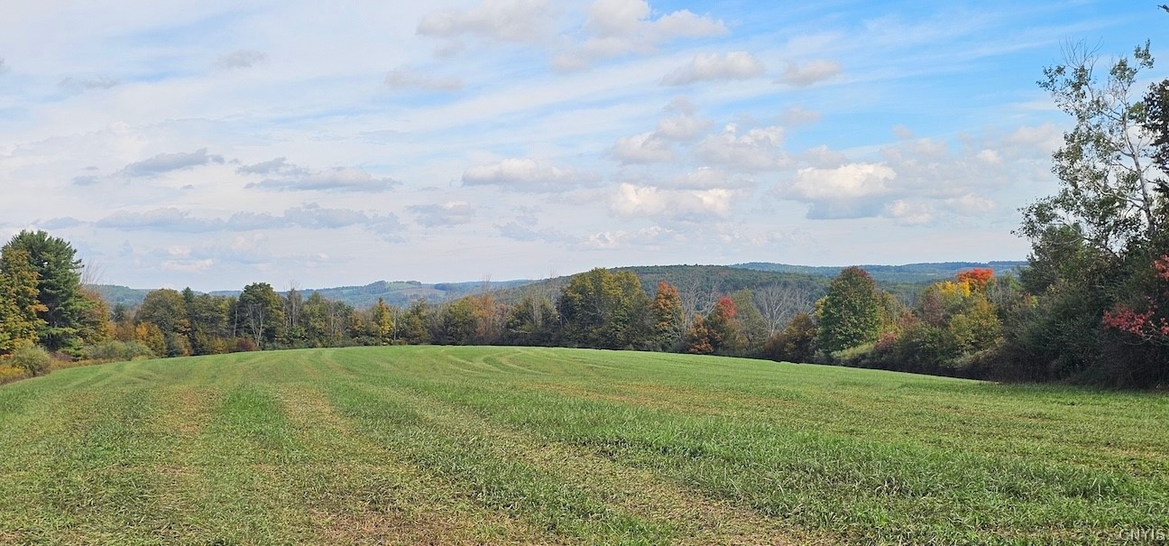 Learn Road Cameron Mills, NY 14820 - Photo 1 of 40 Gallery Image 1