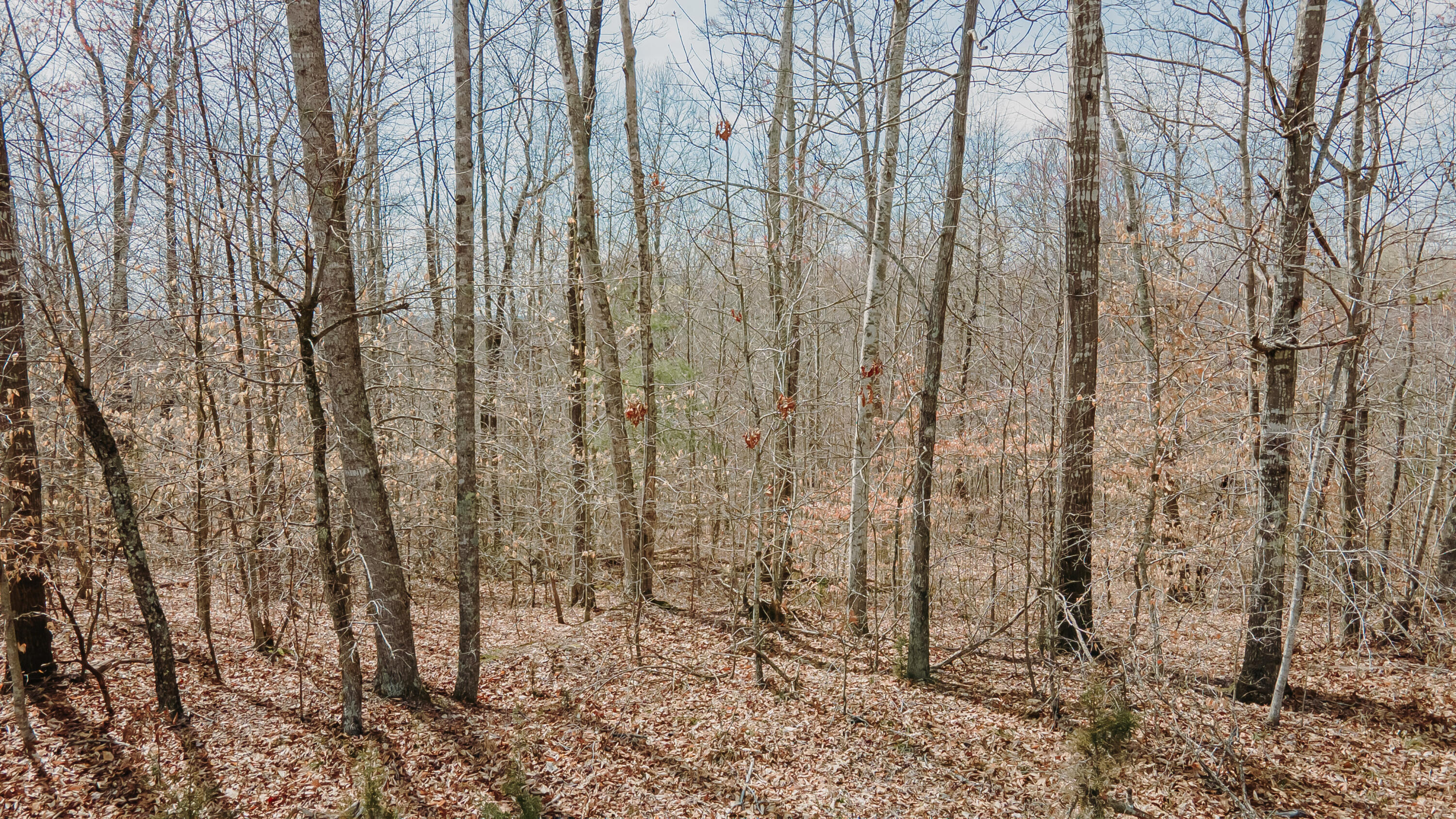 7000 Cave Springs Road Nancy, KY 42544 - Photo 37 of 69 Wolf Creek-32