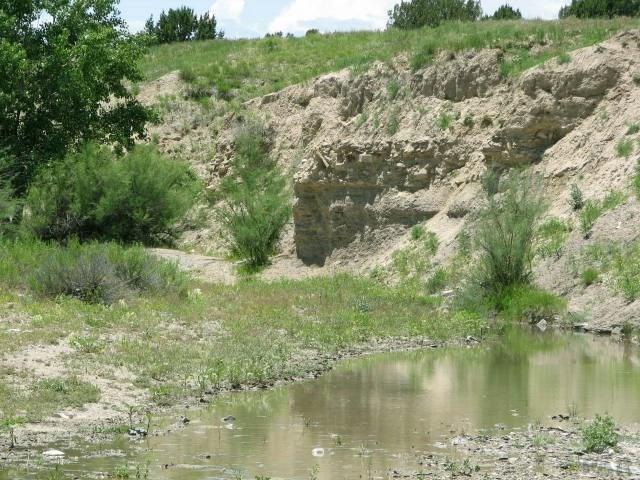19 Salt Creek Road Pueblo, CO 81004 - Photo 12 of 25 Gallery Image 12