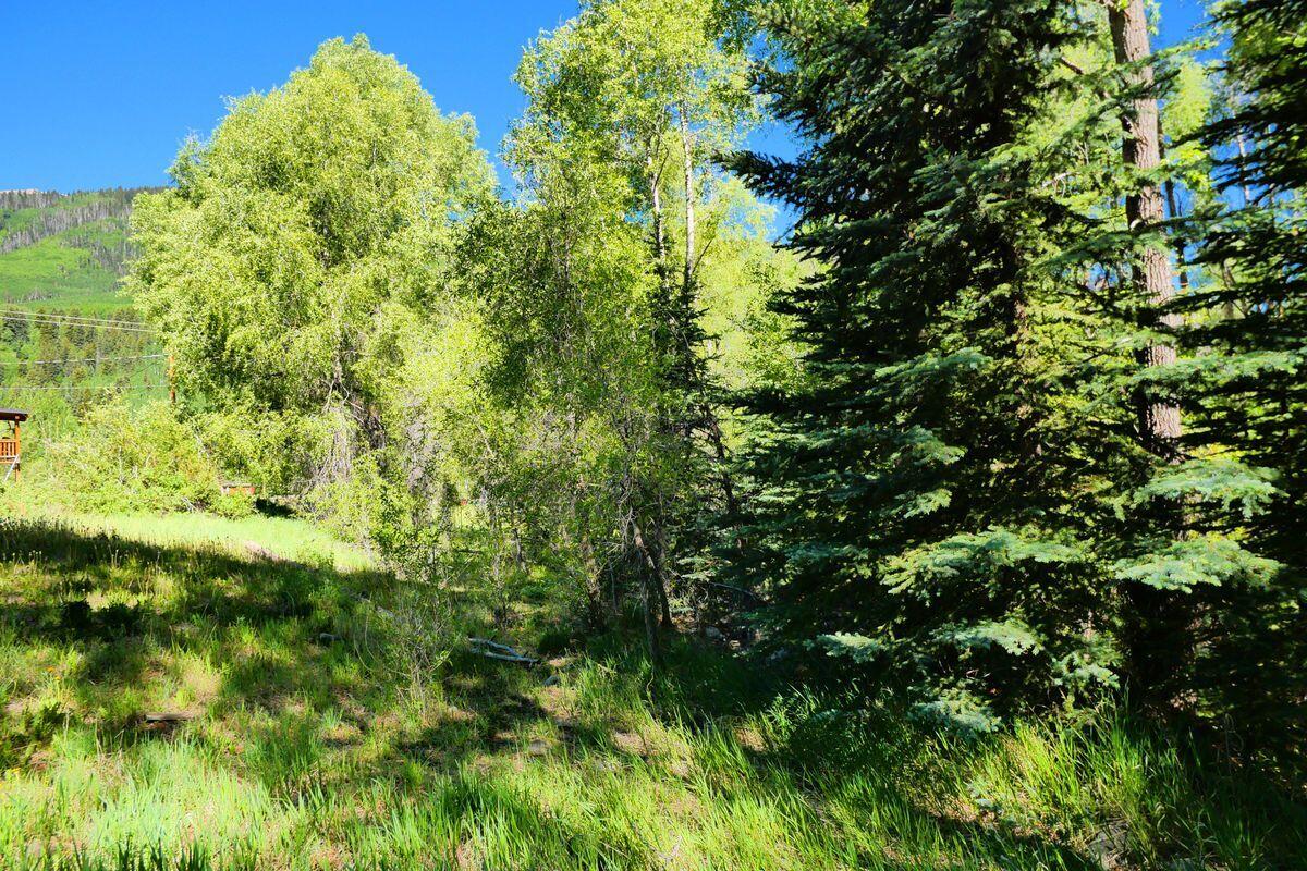 27 North Commercial Street Rico, CO 81332 - Photo 11 of 17 a view of a lush green forest