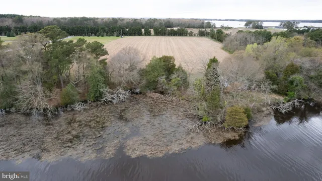a view of lake with green space