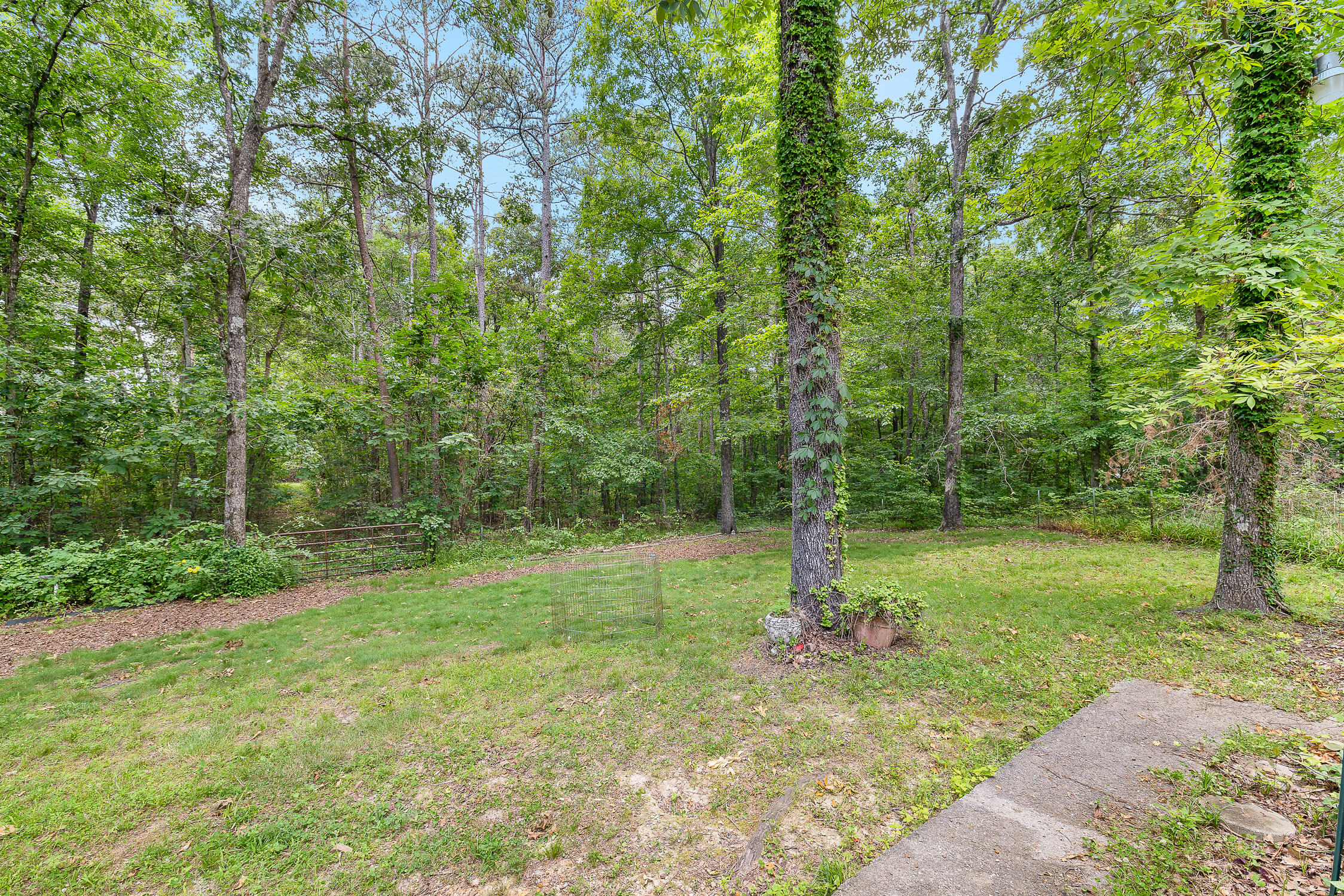 403 Lyman Daniel Road Trenton, GA 30752 - Photo 6 of 34 Lyman Daniel-6