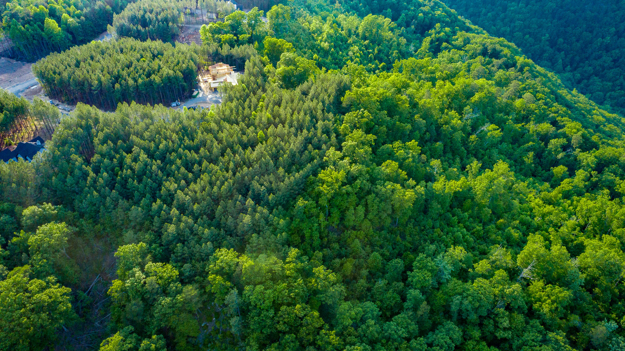 0 Back Basin Trail, Unit LOT 1244 Chattanooga, TN 37419 - Photo 75 of 119 0 Back Basin Trail - Lot 1244 HD-35