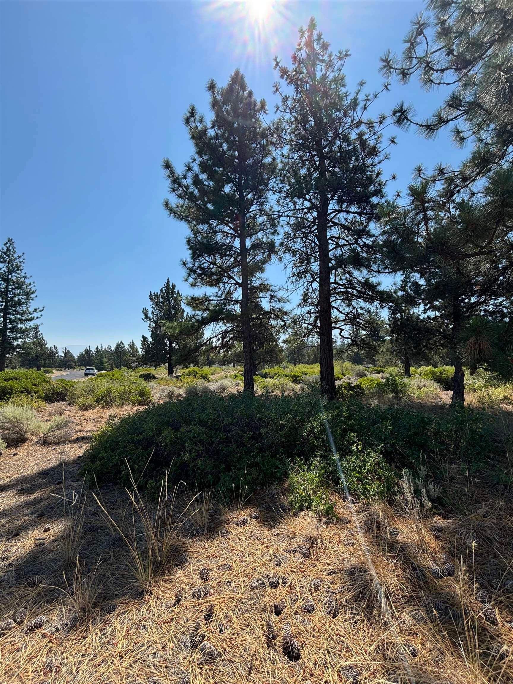 8-1 Unit Road Weed, CA 96094 - Photo 3 of 9 Gallery Image 3