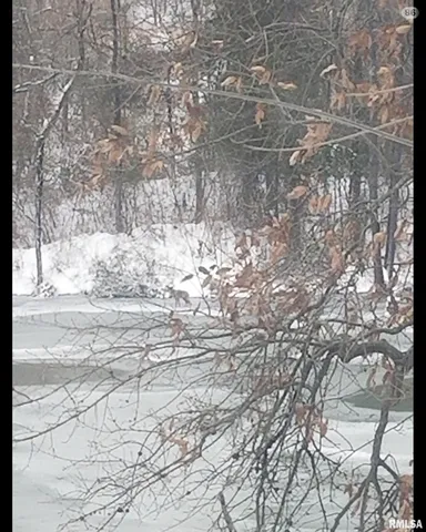 $380,000 | 208 Dewmaine Lane, Carterville, IL 62918