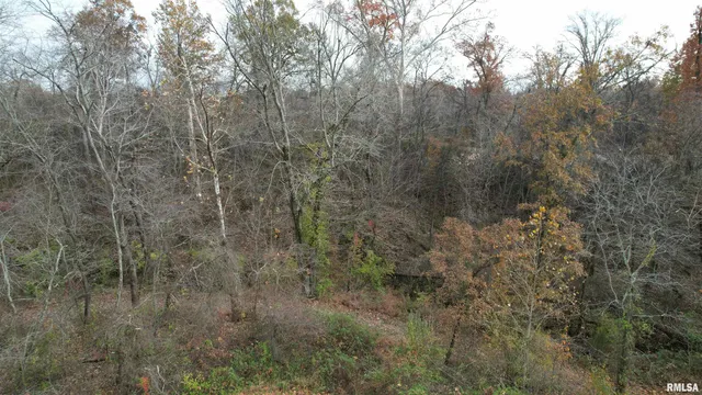 $380,000 | 208 Dewmaine Lane, Carterville, IL 62918