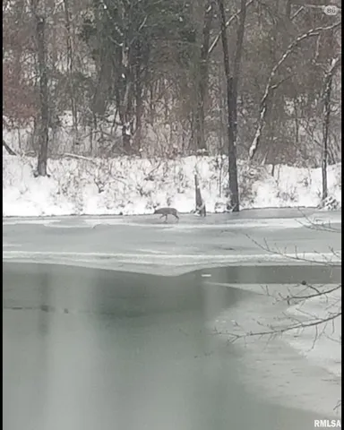 $380,000 | 208 Dewmaine Lane, Carterville, IL 62918