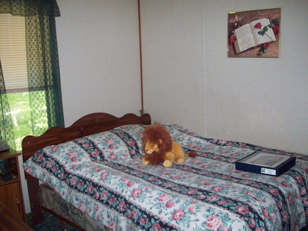 252 Canton Church Road, Unit 286 Rocky Mount, VA 24151 - Photo 4 of 13 Bedroom
