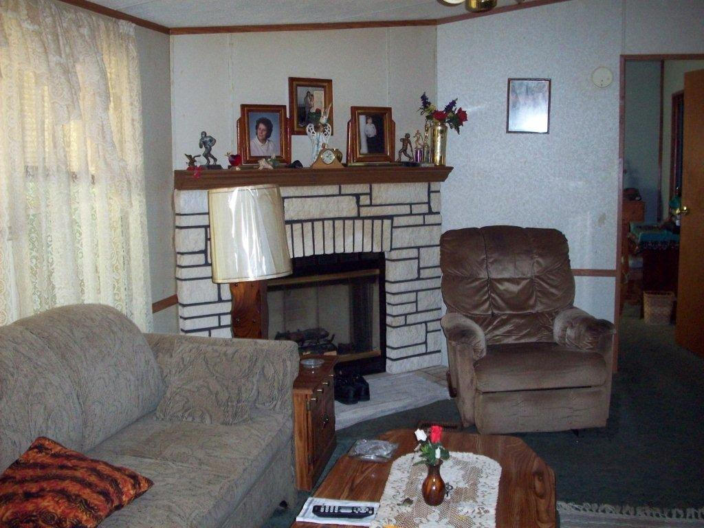 252 Canton Church Road, Unit 286 Rocky Mount, VA 24151 - Photo 10 of 13 Fireplace