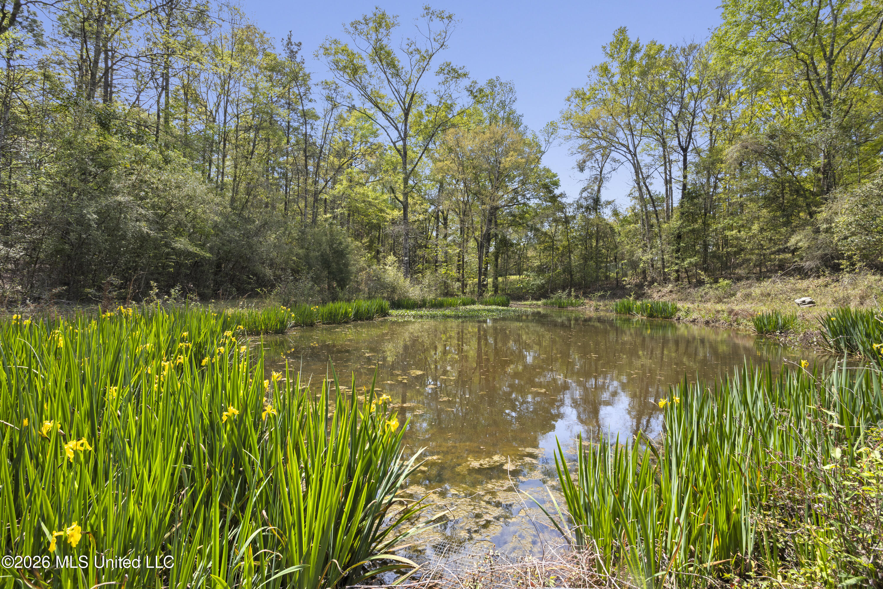 20 Redbird Road Poplarville, MS 39470 - Photo 28 of 51 0028