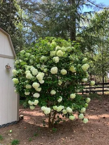 $899,000 | 14430 Wyndham Farms Drive, Milton, GA 30004