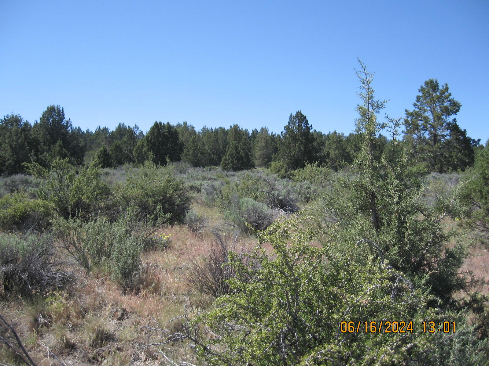 Drews Road Chiloquin, OR 97624 - Photo 3 of 19 3