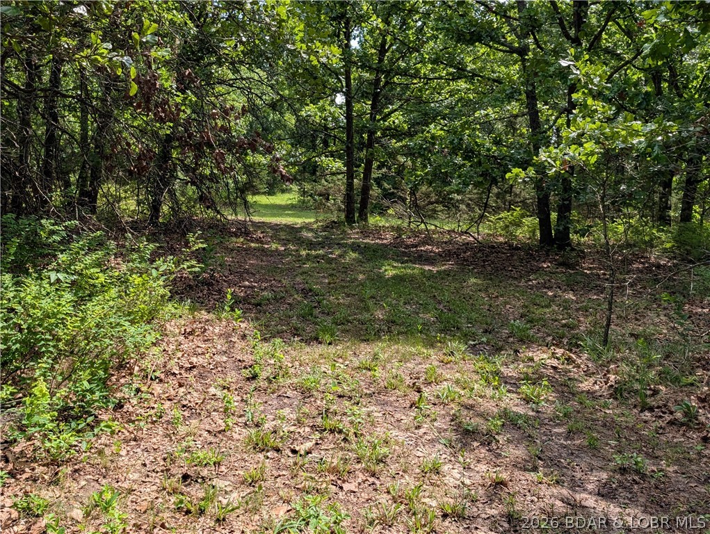 199 Spring Road Montreal, MO 65591 - Photo 27 of 57