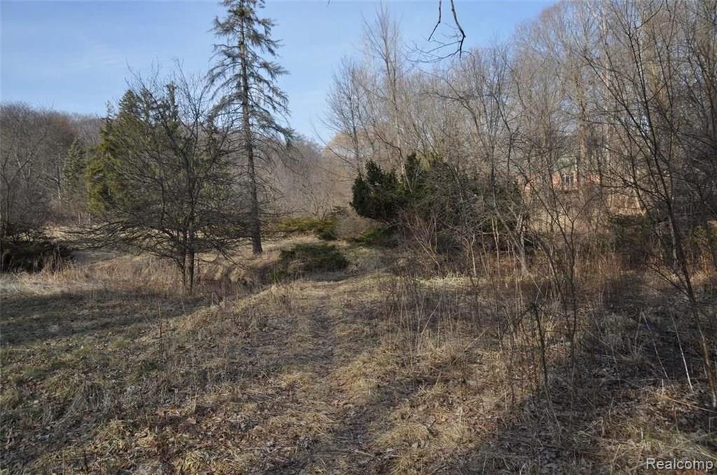 36391 Howard Road Farmington Hills, MI 48331 - Photo 7 of 17