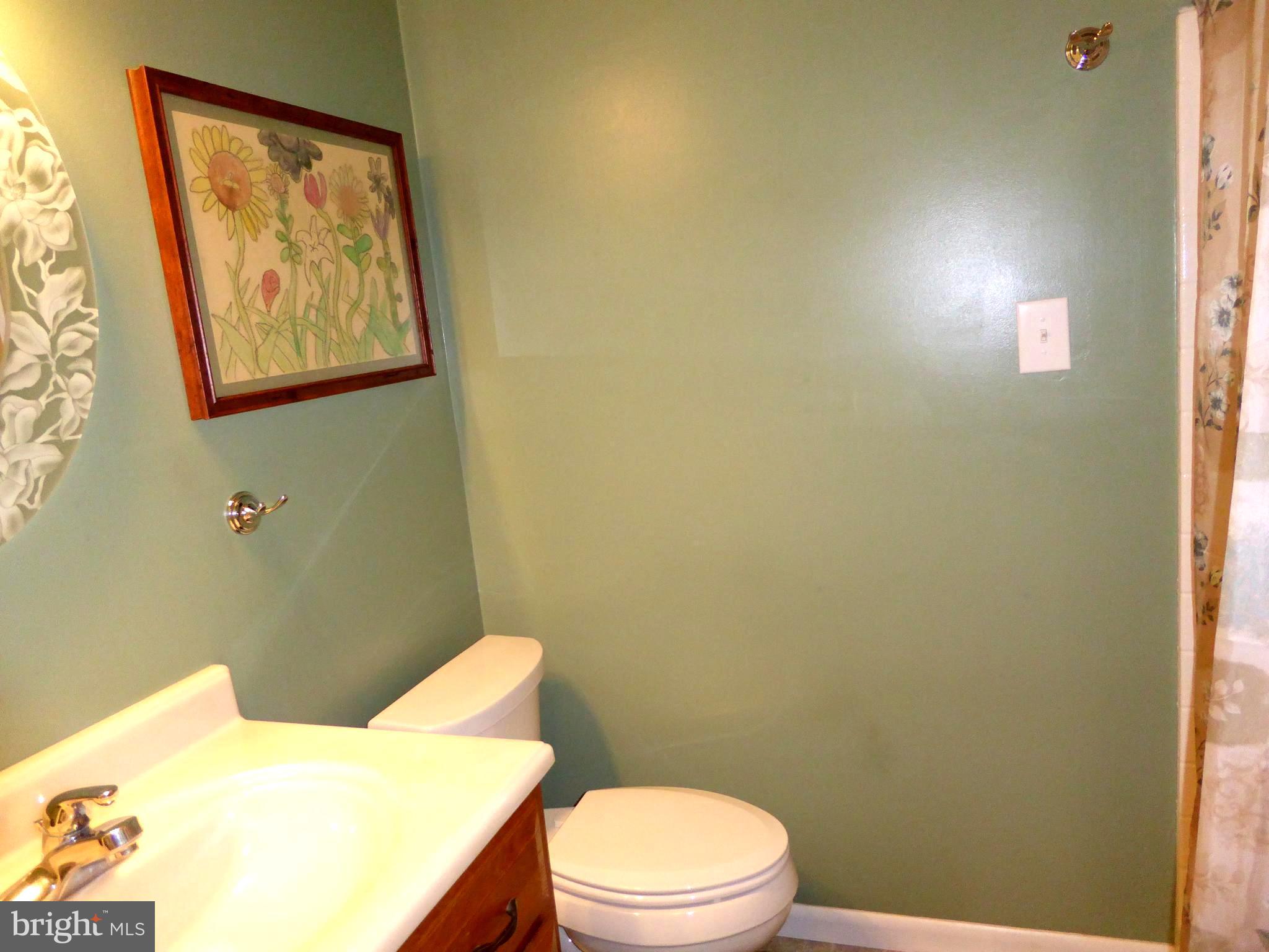 719 Mill Road Telford, PA 18969 - Photo 16 of 27 1st Floor Bathroom