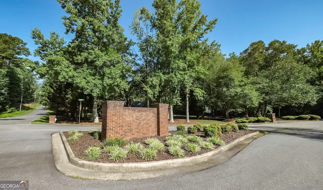a view of a bunch of trees and bushes