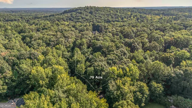 a view of a swimming pool and trees in the background