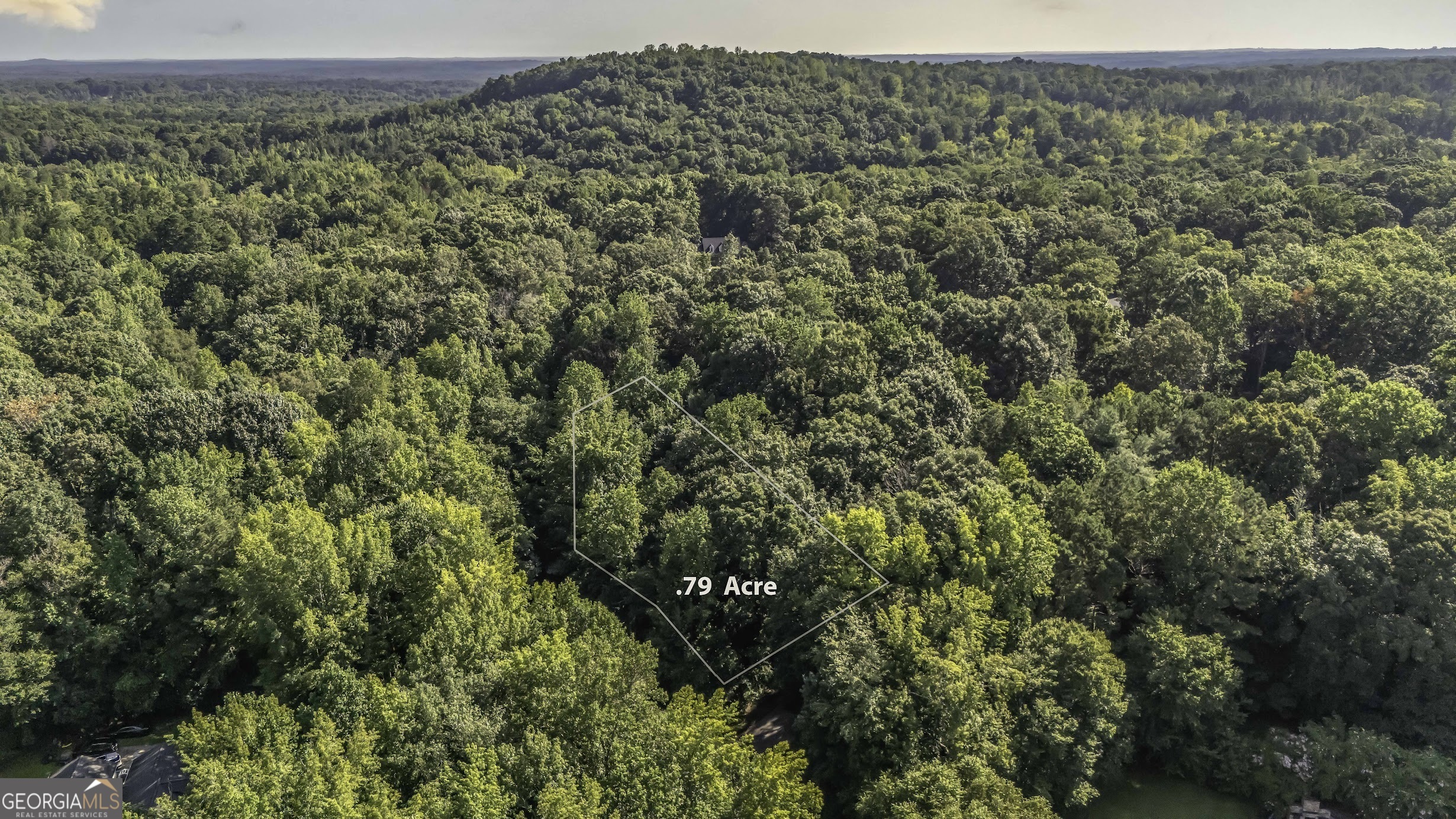 0 Cambridge Lane Bremen, GA 30110 - Photo 4 of 5 a view of a large building