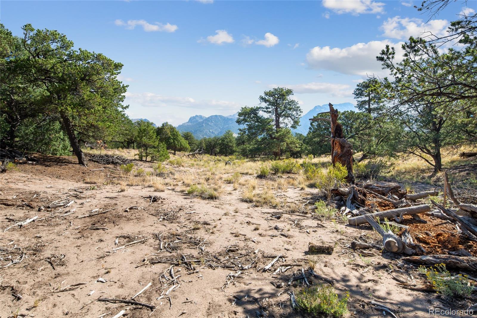 961 Ridgeview Way Crestone, CO 81131 - Photo 3 of 18 a view of ocean view with large trees