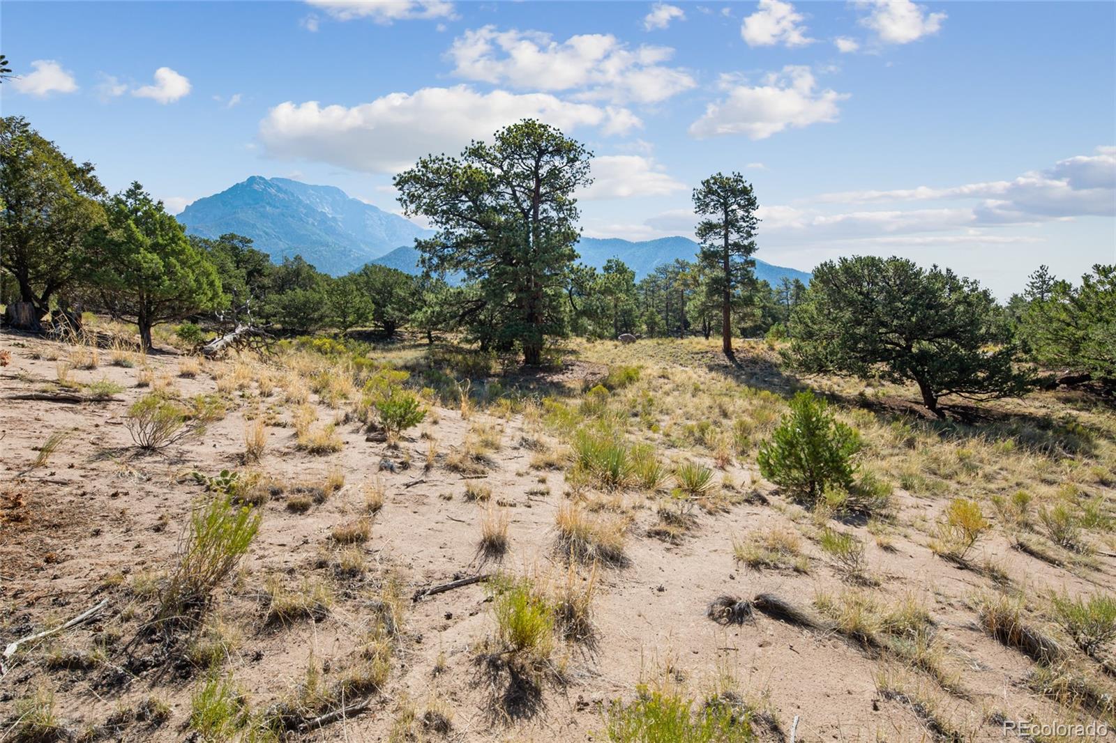 961 Ridgeview Way Crestone, CO 81131 - Photo 4 of 18 a view of a yard with a tree