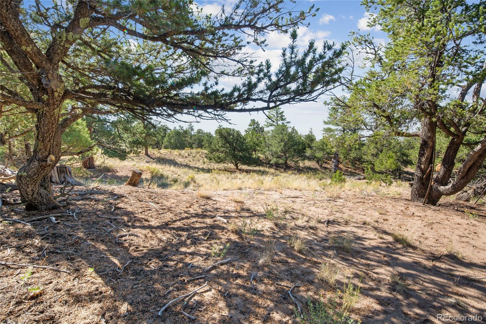 961 Ridgeview Way Crestone, CO 81131 - Photo 6 of 18