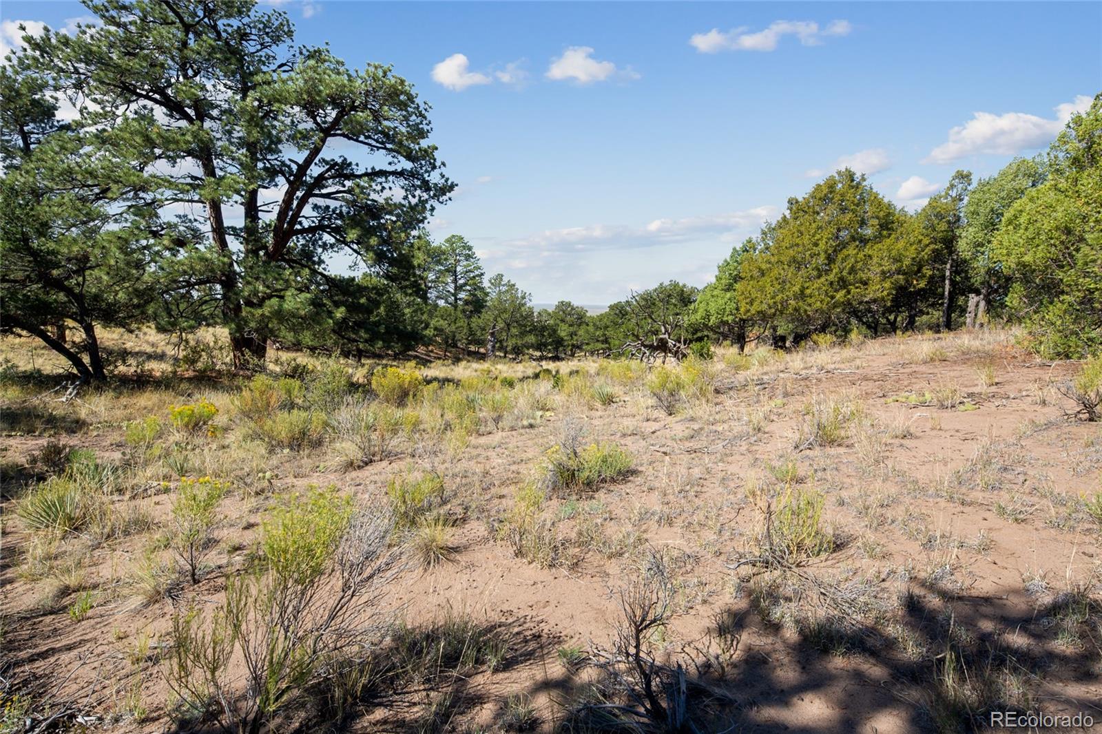 961 Ridgeview Way Crestone, CO 81131 - Photo 7 of 18 a view of water covered with tall trees