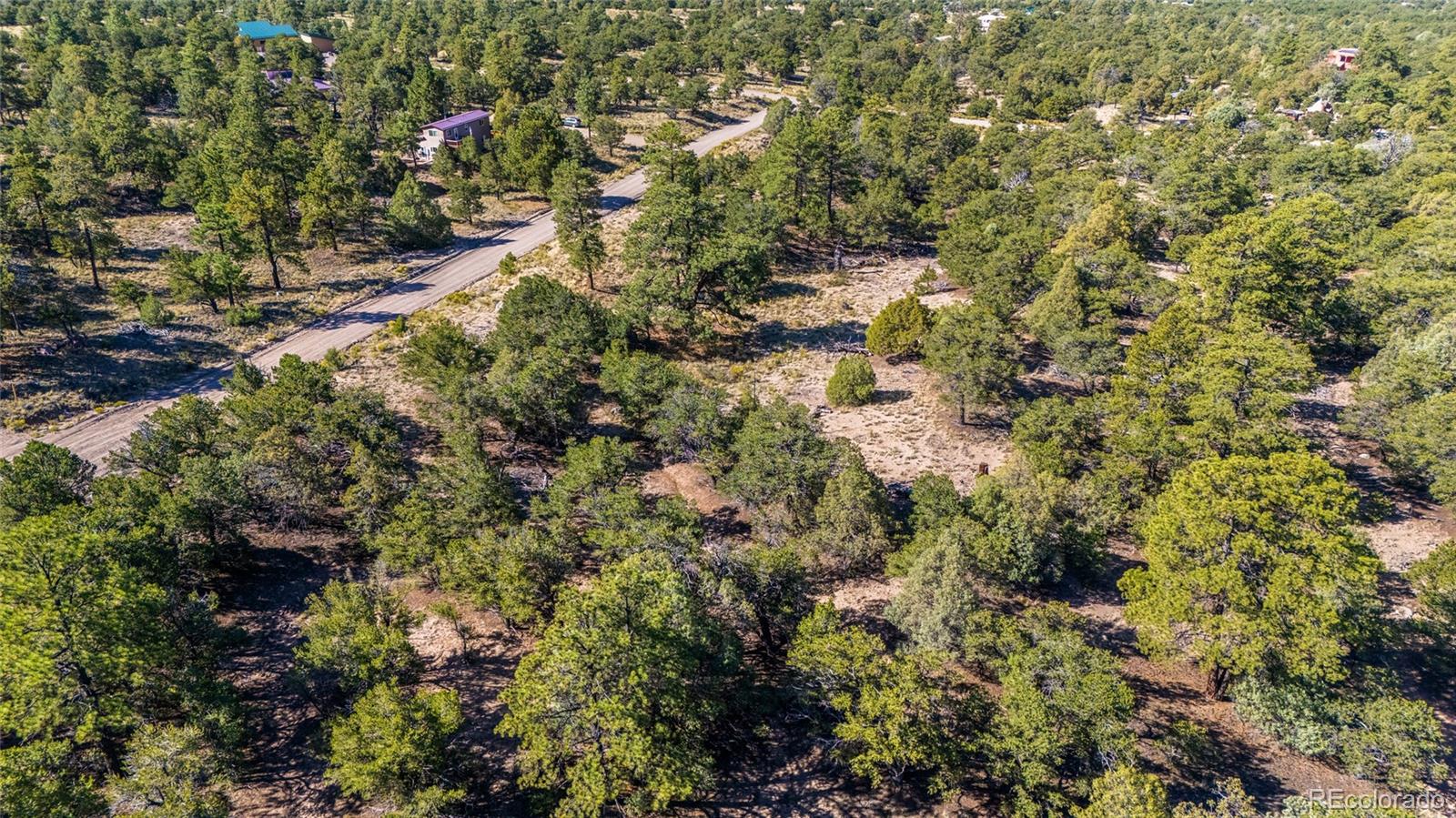 961 Ridgeview Way Crestone, CO 81131 - Photo 10 of 18 a view of a forest with a tree