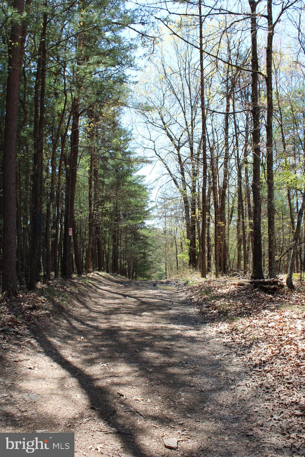 Crossover Road Flintstone, MD 21530 - Photo 1 of 25 Gallery Image 1
