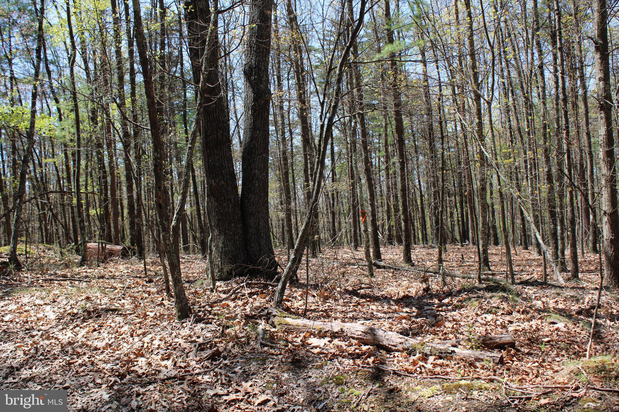 Crossover Road Flintstone, MD 21530 - Photo 2 of 25 Gallery Image 2
