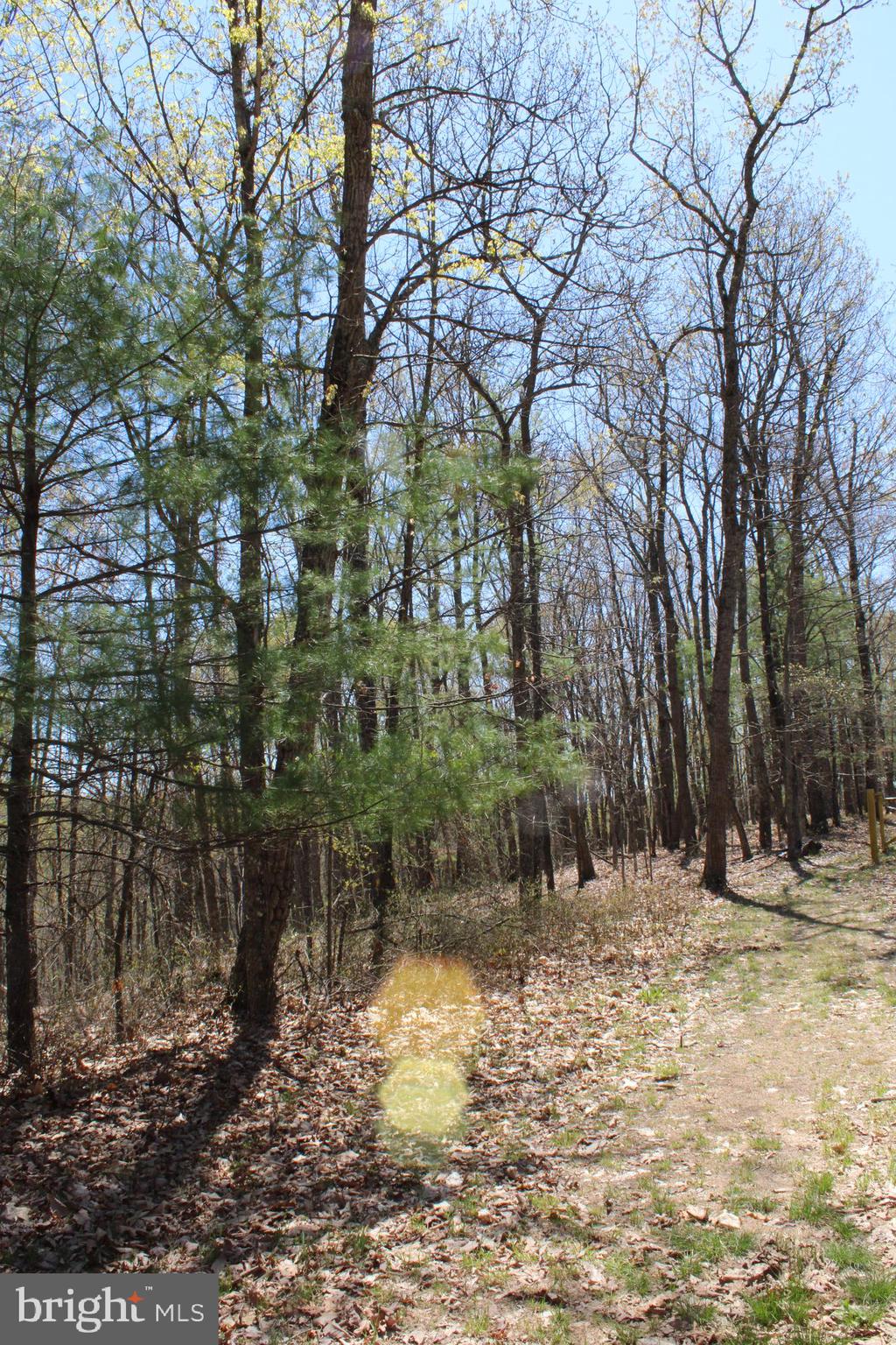 Crossover Road Flintstone, MD 21530 - Photo 20 of 25 Gallery Image 20